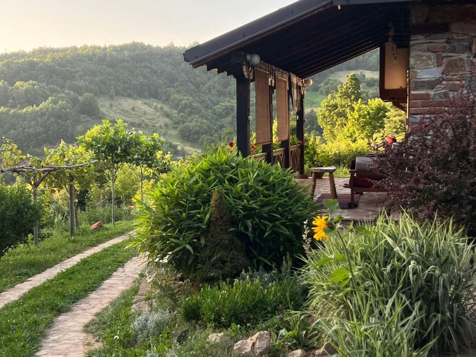 Traditional Cottage - Vila Samovila Delcevo 외부 사진