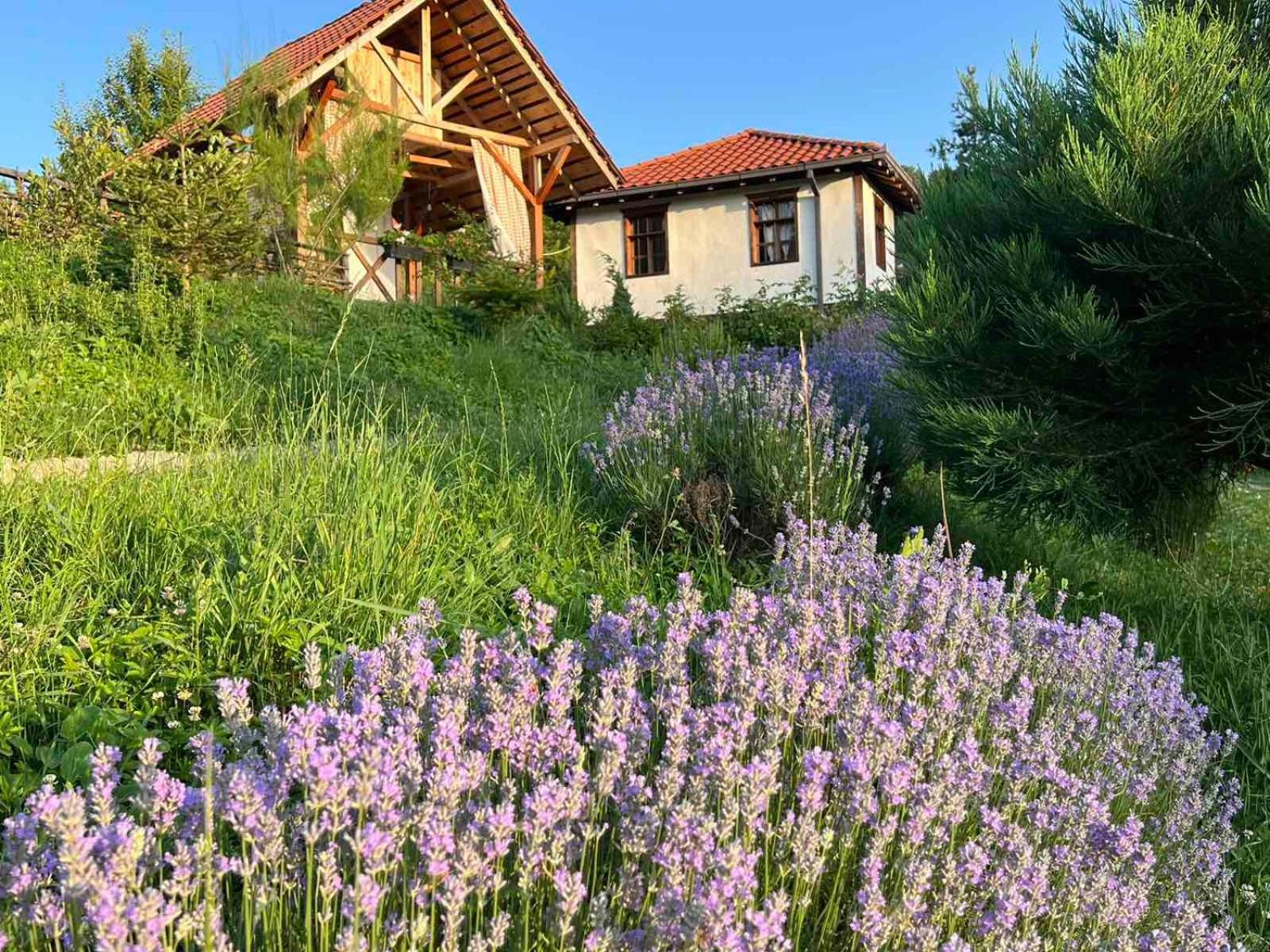 Traditional Cottage - Vila Samovila Delcevo 외부 사진