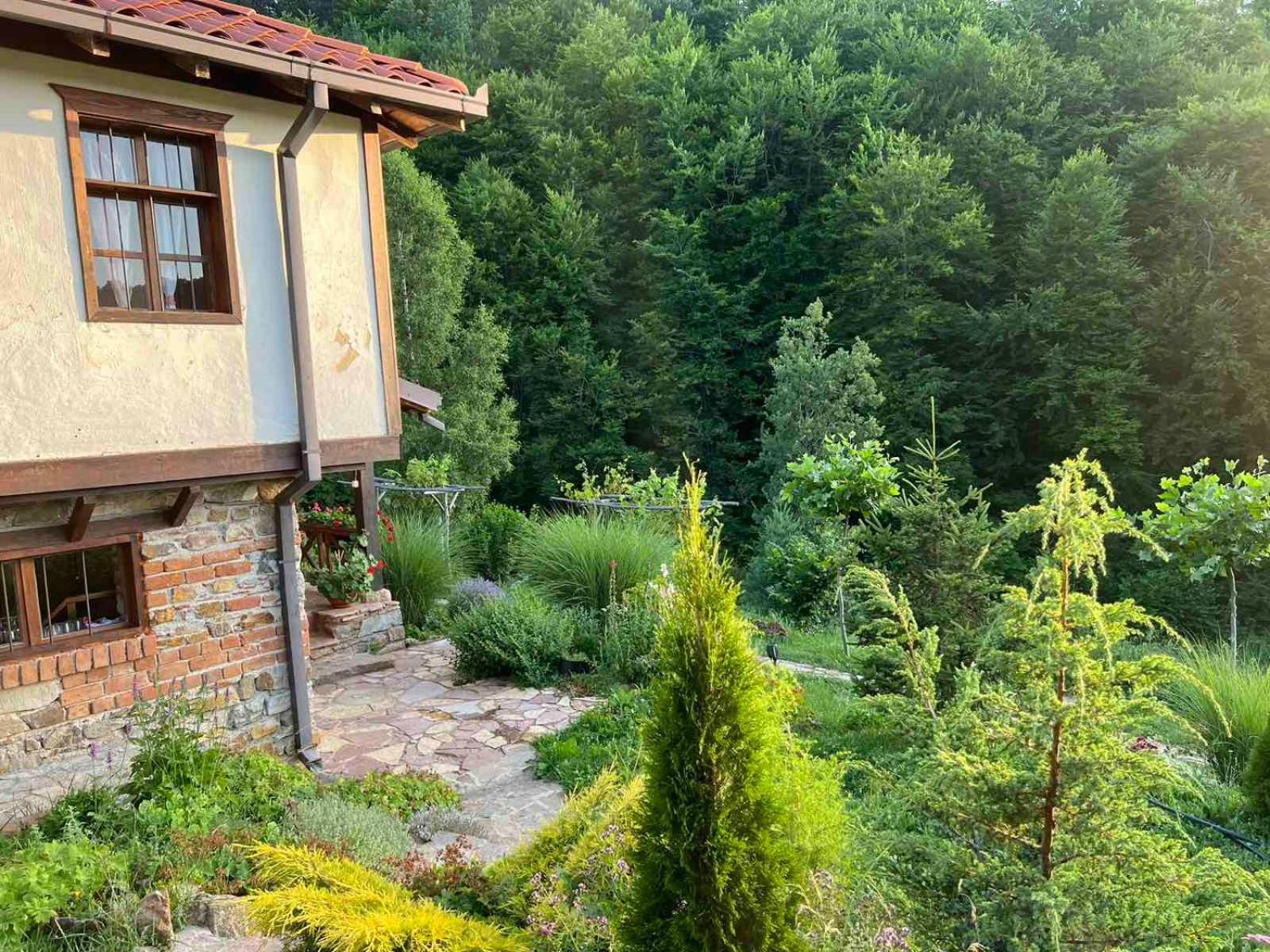 Traditional Cottage - Vila Samovila Delcevo 외부 사진